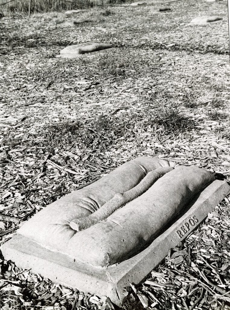 Catherine Widgery